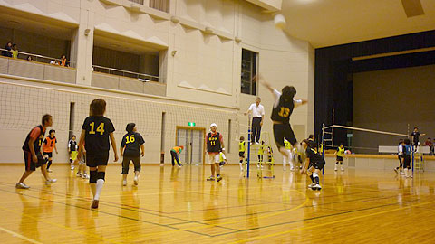 写真：ソフトバレーボール