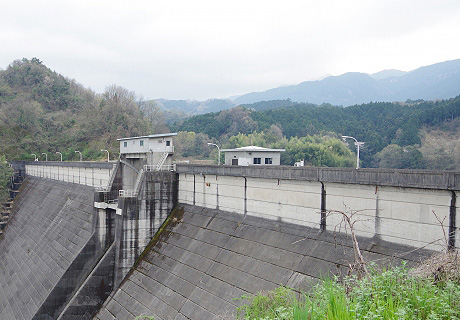 写真：2区風景